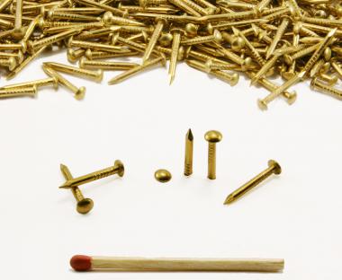 Round head brass nail Ø 1.8 mm L : 16 mm - Ø 1.8 mm