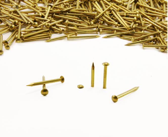 Round head brass nail L : 20 mm - Ø 1.5 mm
