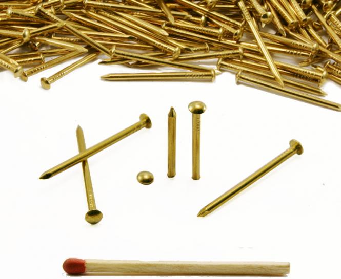 Round head brass nail L : 30 mm - Ø 2.0 mm