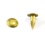 Extra large head minitaure brass nail (30g.) L : 6 mm - Ø 1.8 mm