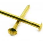 Round head brass nail Ø 3.0 mm L : 35 mm - Ø 3.0 mm