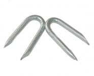 Beveled tips U nail – galvanised steel L : 31 mm - Ø 3.1 mm 